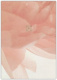 NLT Every Woman's Bible  Filament-Enabled Edition - Hardcover, Indexed